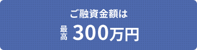 Zz͍ō300~