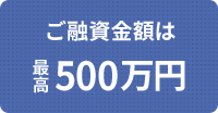 Zz͍ō500~